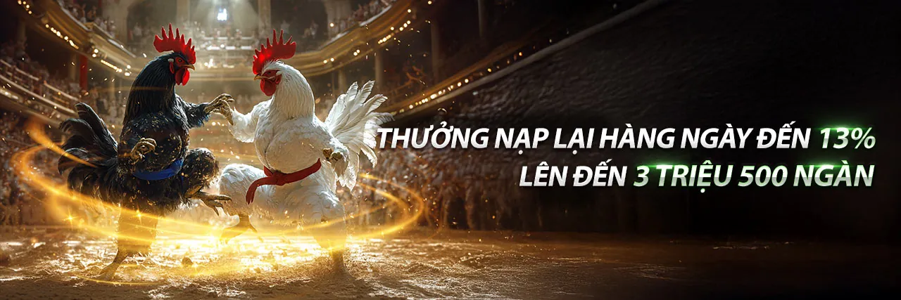 Hình ảnh trực tiếp đá gà 67 c3 sôi động